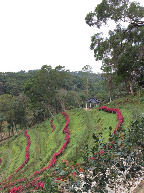 遠眺的彌陀博物大院