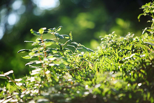 教授對心海家族的誠意與用心見微知著矣