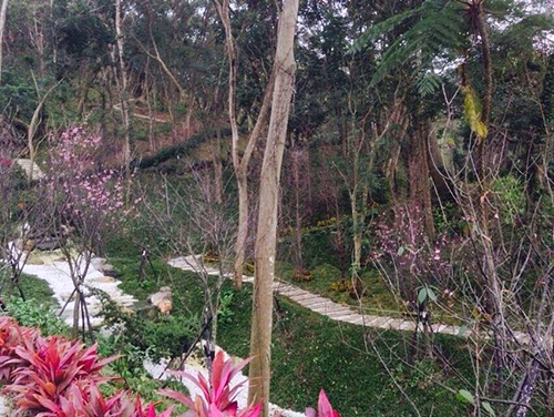 偌大的【彌陀博物大院】聖地分分秒秒都在改變!