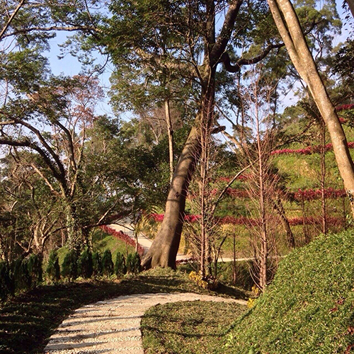 偌大的【彌陀博物大院】聖地分分秒秒都在改變!
