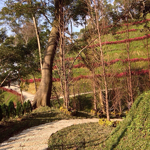 偌大的【彌陀博物大院】聖地分分秒秒都在改變!