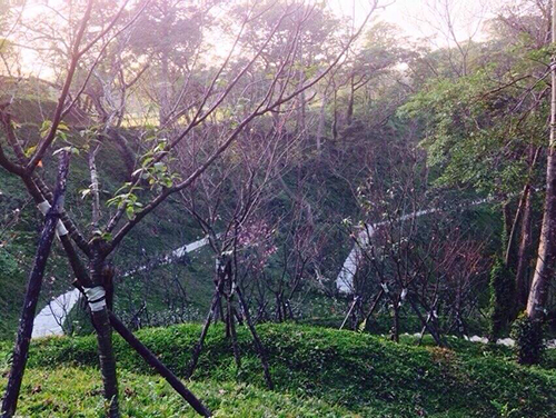 偌大的【彌陀博物大院】聖地分分秒秒都在改變!