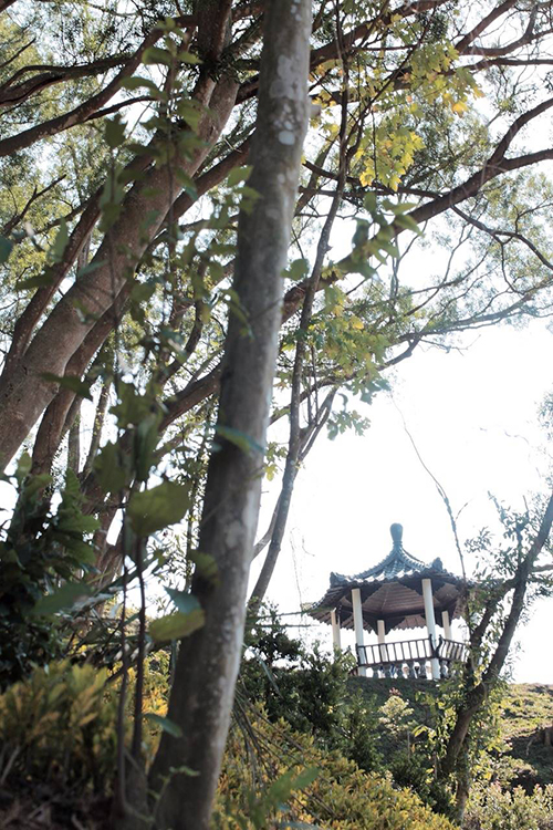 所有工作人員在教授殷勤帶領下馬不停蹄才創造出眼前這番絕美景緻
