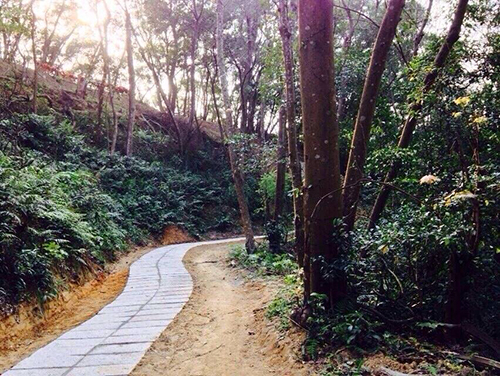 飽覽『春意盎然 綺麗繽紛』之聖地美景