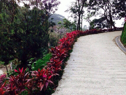 聖地美景 盡收眼底