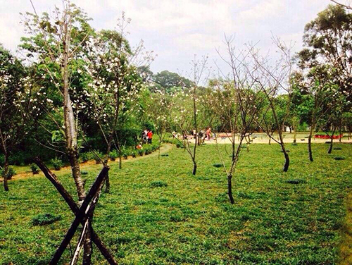 聖地美景 盡收眼底