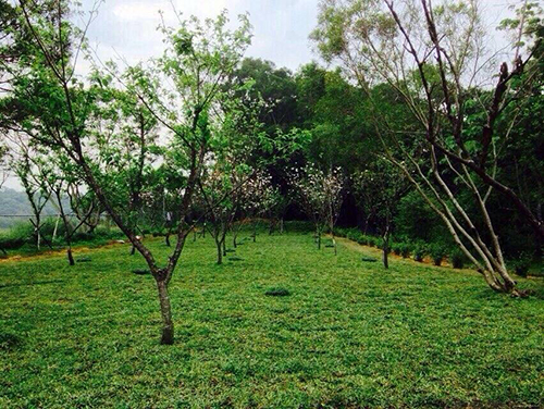 聖地美景 盡收眼底