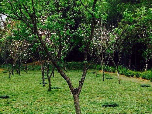 聖地美景 盡收眼底