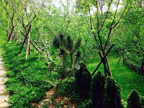 聖地美景 盡收眼底