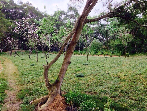 聖地美景 盡收眼底