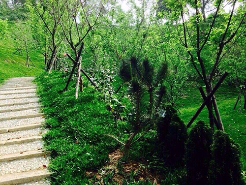 聖地美景 盡收眼底
