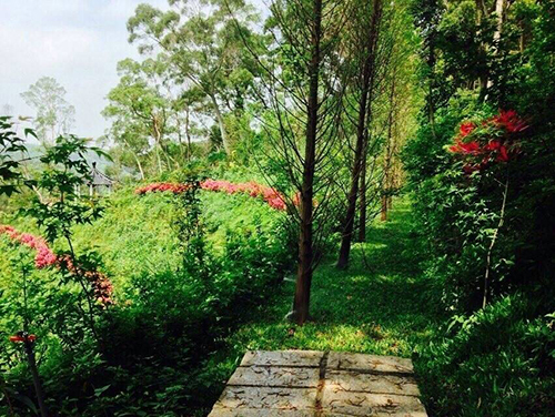 2014/04/09 聖地美景