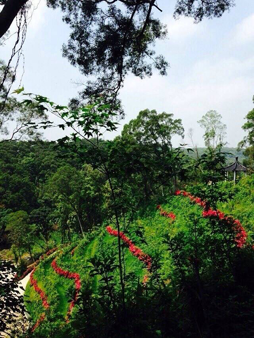 2014/04/09 聖地美景