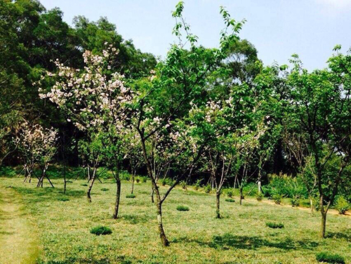 2014/04/09 聖地美景