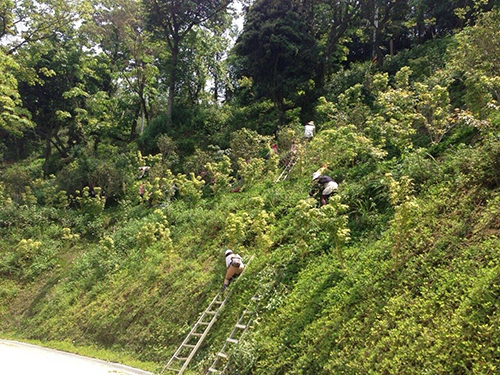 2014/04/13 『葉教授親攝 』