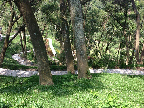 2014/04/13 『葉教授親攝 』