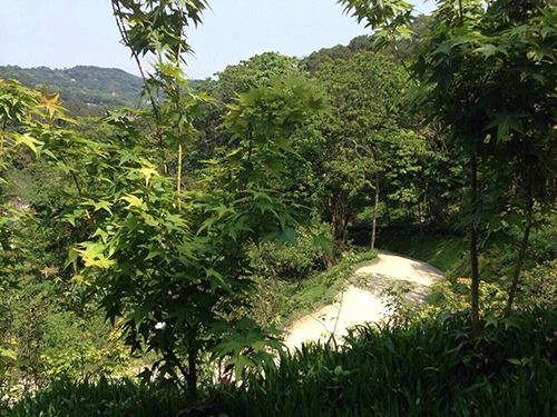 2014/04/13 『葉教授親攝 』