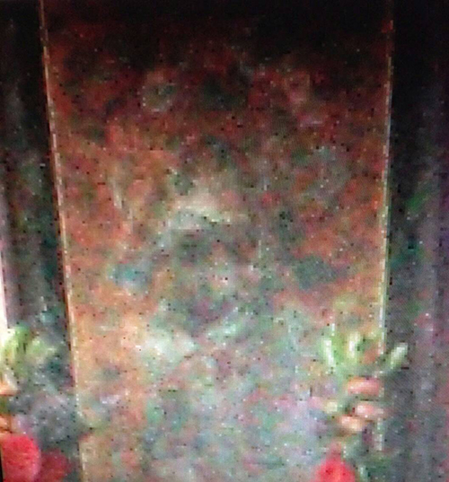 韋䭾天界第一護法浴佛日親臨示現!