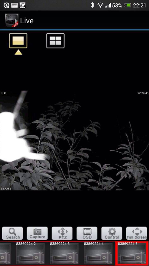 【法輪示現形同神佛駐駕】