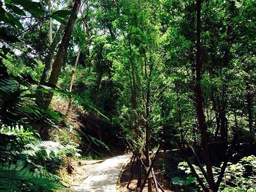 2014/05/26 「梅雨季節過後的彌陀博物大院聖山」