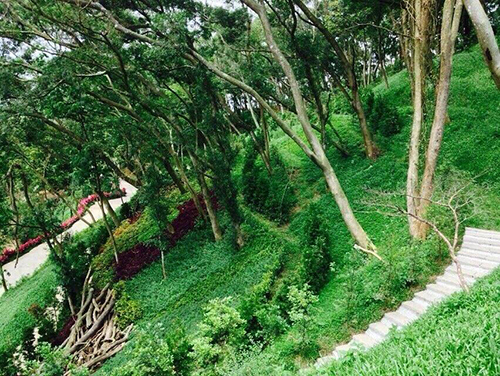 2014/05/26 「梅雨季節過後的彌陀博物大院聖山」