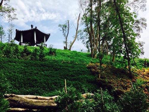 2014/05/26 「梅雨季節過後的彌陀博物大院聖山」