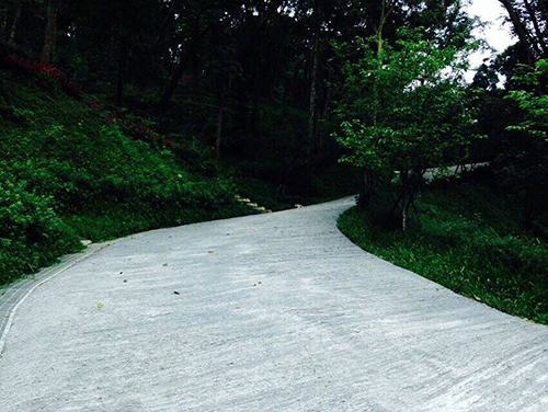 『環繞聖山之道路工程已全部鋪設完成』