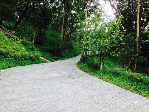 『環繞聖山之道路工程已全部鋪設完成』