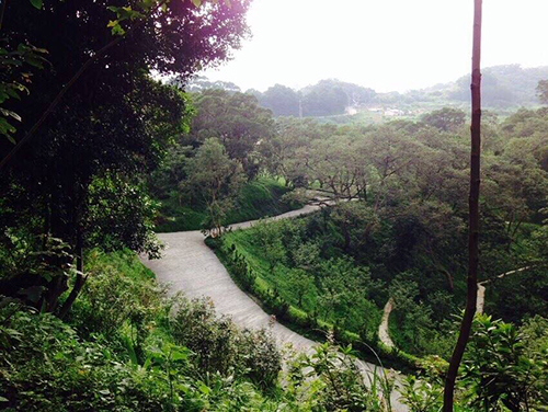 『環繞聖山之道路工程已全部鋪設完成』