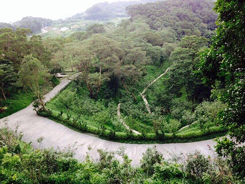 『環繞聖山之道路工程已全部鋪設完成』