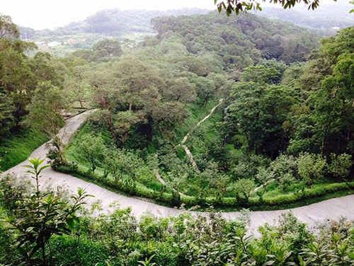 『環繞聖山之道路工程已全部鋪設完成』