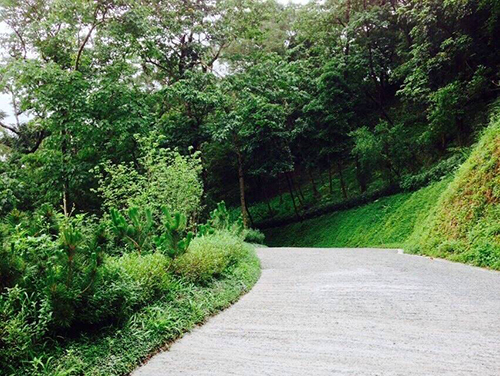『環繞聖山之道路工程已全部鋪設完成』