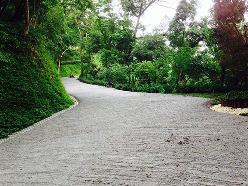 『環繞聖山之道路工程已全部鋪設完成』