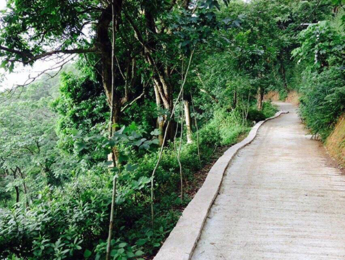 『環繞聖山之道路工程已全部鋪設完成』