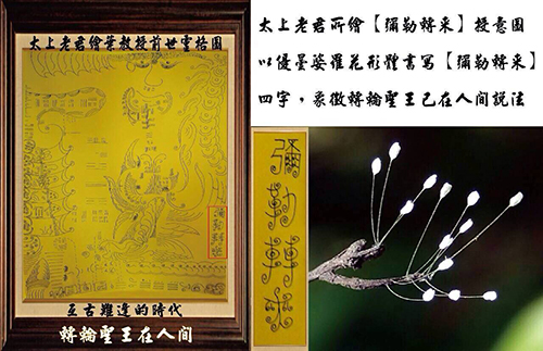 佛經中明確告訴人們三千年一開的優曇婆羅花意味著將有轉輪聖王在人間正法。