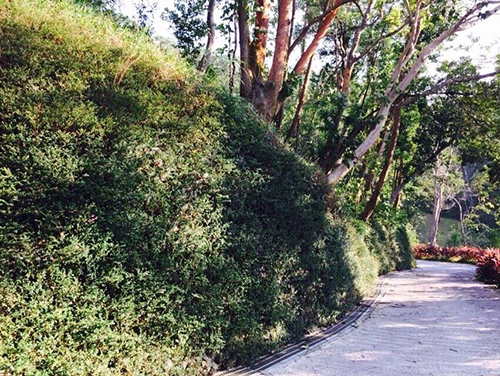 『秋陽之下聖山絶色的美』