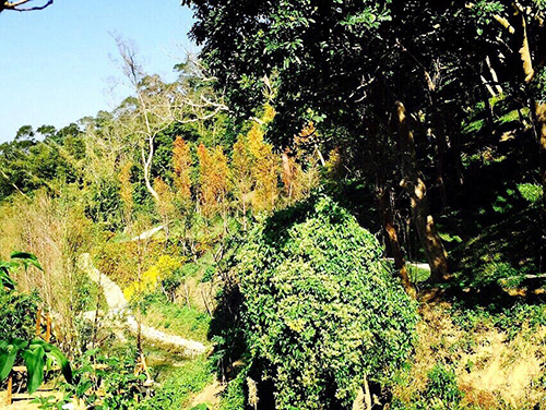 聖山夜景仿如留著50年代風華絕色