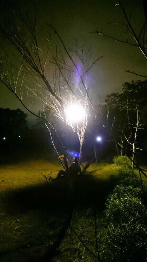 優曇婆羅花第48現䖏(授記)轉輪聖王確在人間