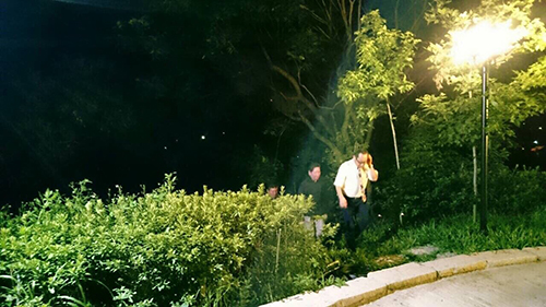 中村尚雄醫學博士,及與會者受䕃彌勒藍寶法輪庇護,及自性光普照。