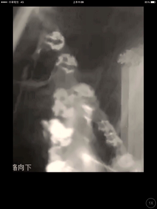 夜守蘇廸勒怪獸攔腰颱實況報導: