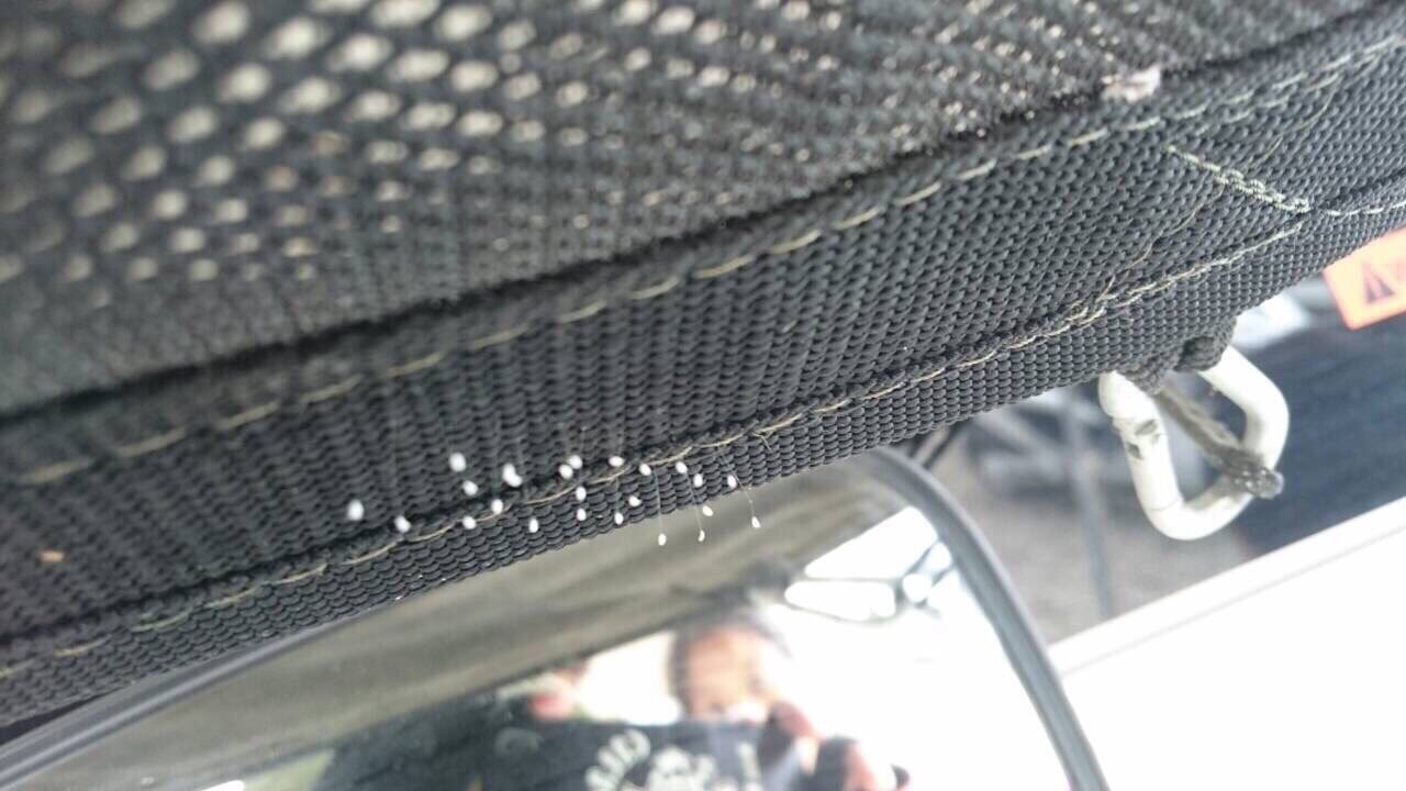 威神之力嘆莫能窮,佛慈心悲天數成雙。