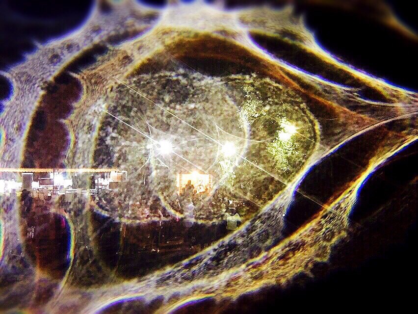 天災地變,從冷茫無辜的表情看背後!