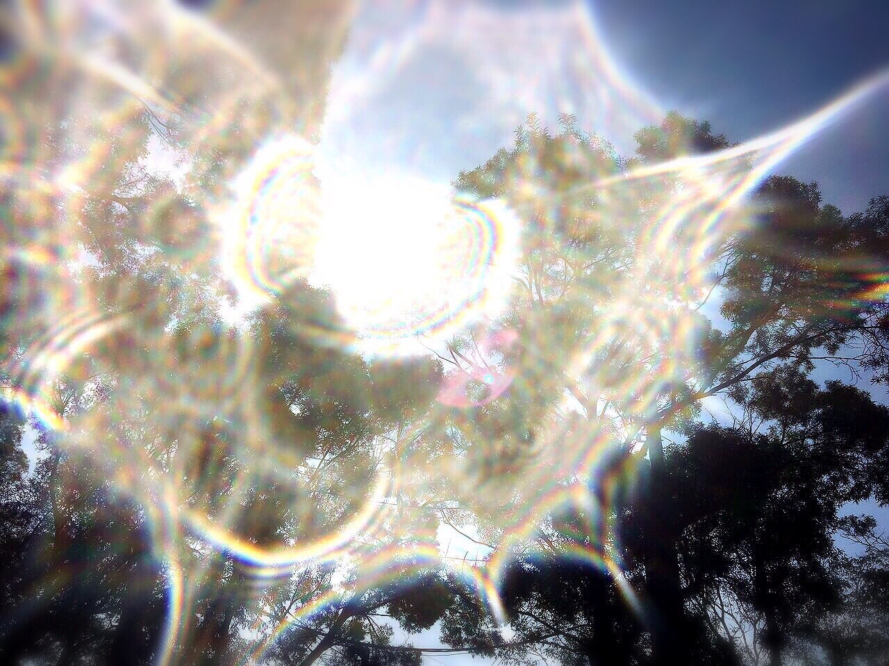 天災地變,從冷茫無辜的表情看背後!