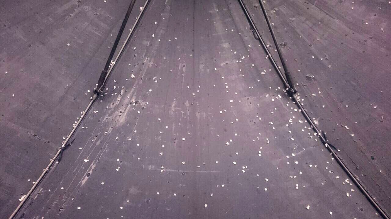 巧遇極寒侵福地 願佛實証雪袖裡