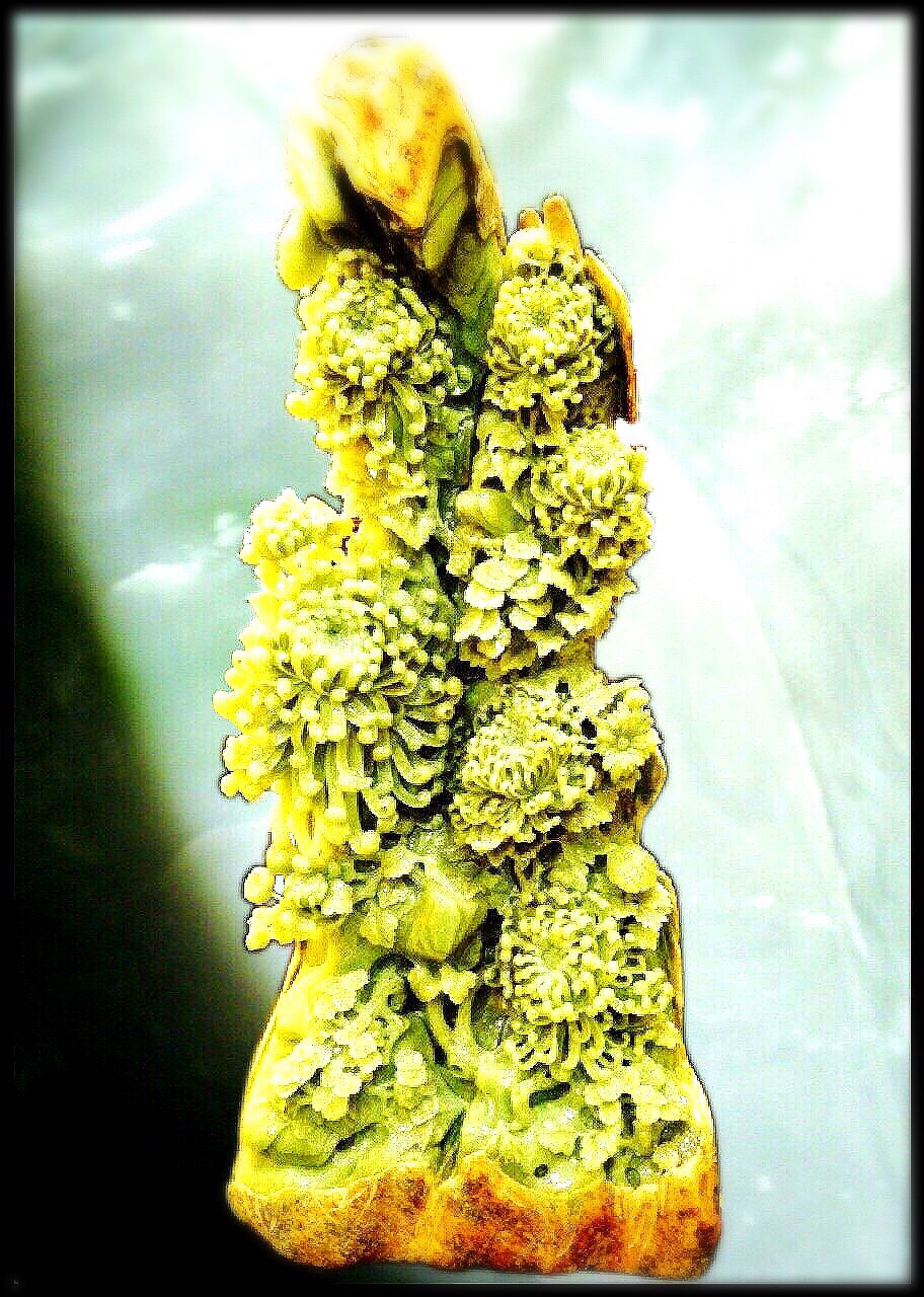 坐井觀天的詮釋誤解,與雕蟲小技的(故宮翠玉白菜)自我得意,造就出臺灣人的未來結局!