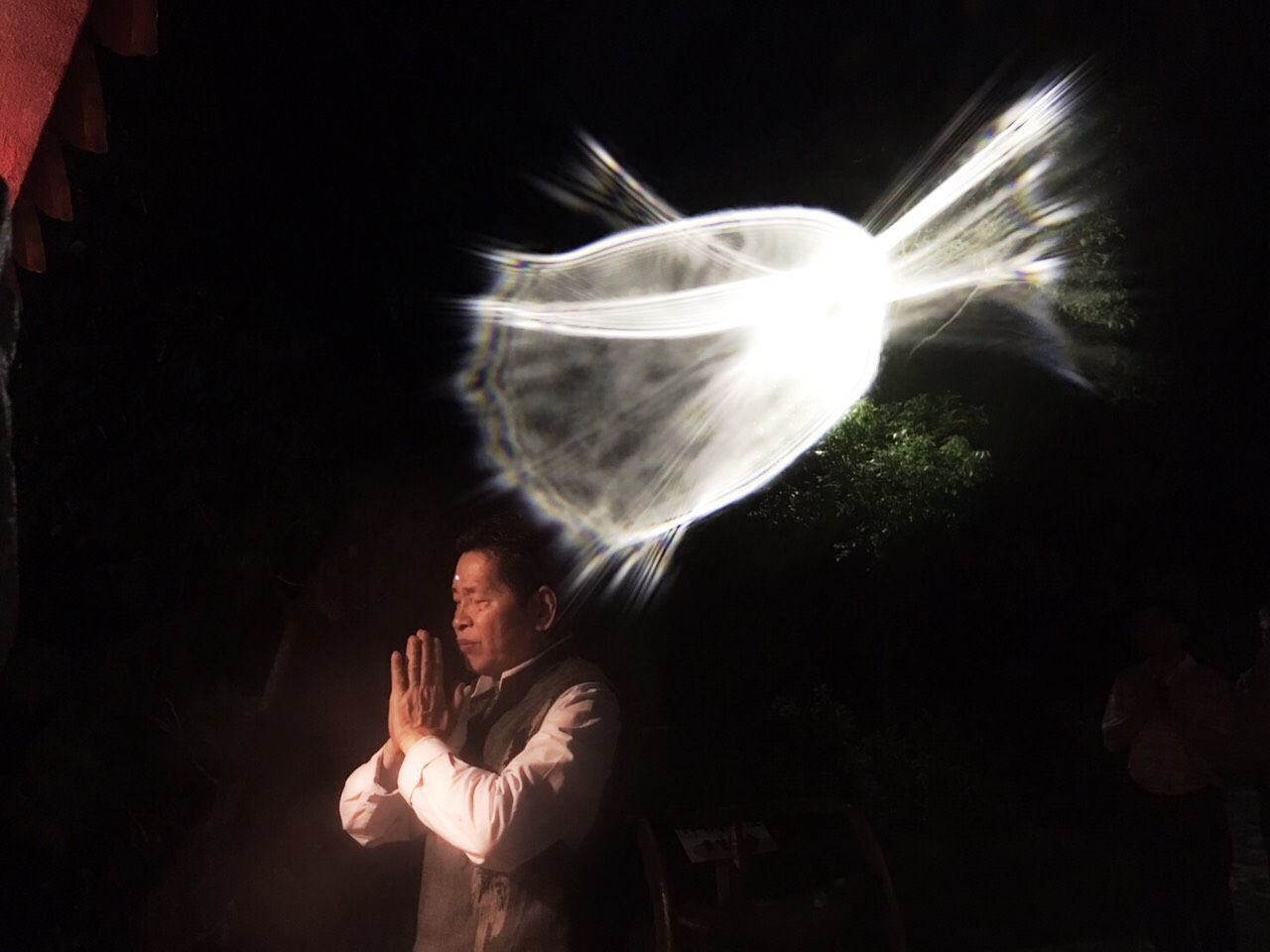天道酬勤 優曇婆羅花貫穿天地人