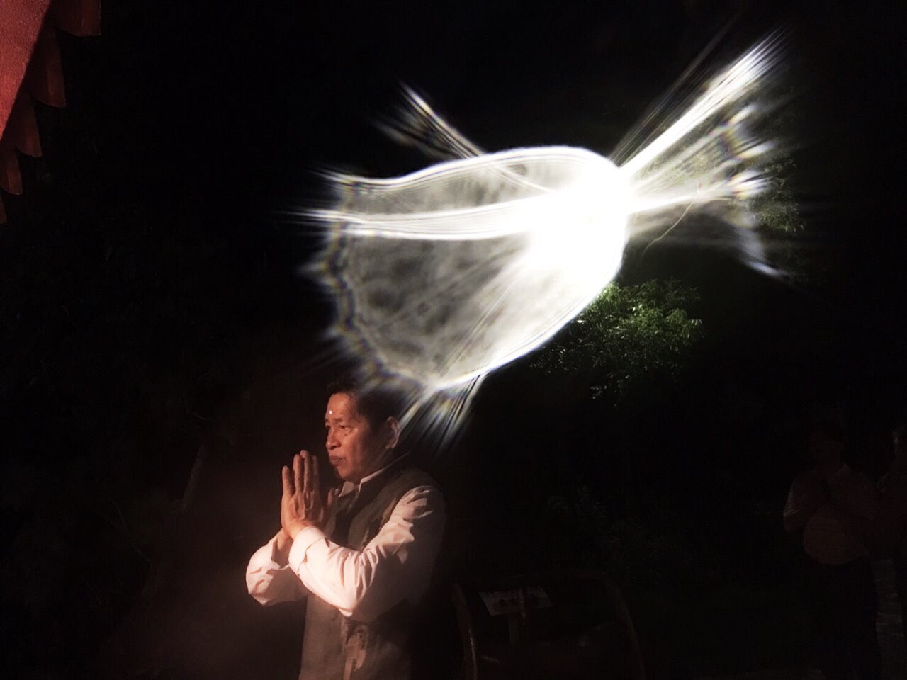 天道酬勤 優曇婆羅花貫穿天地人
