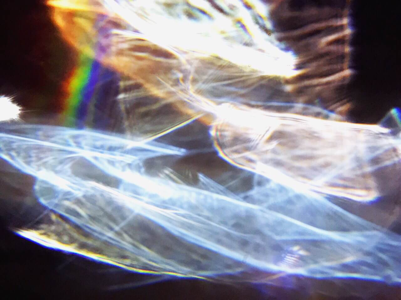 佛光庇蔭身滿盈,是知如來追自性,千錘百煉出慈憫,滄海無情手接引