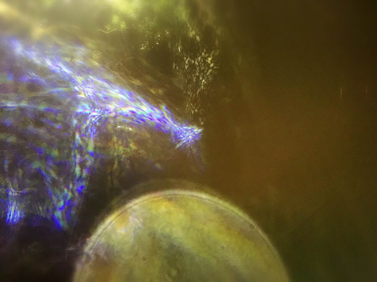 生存 生活 生根