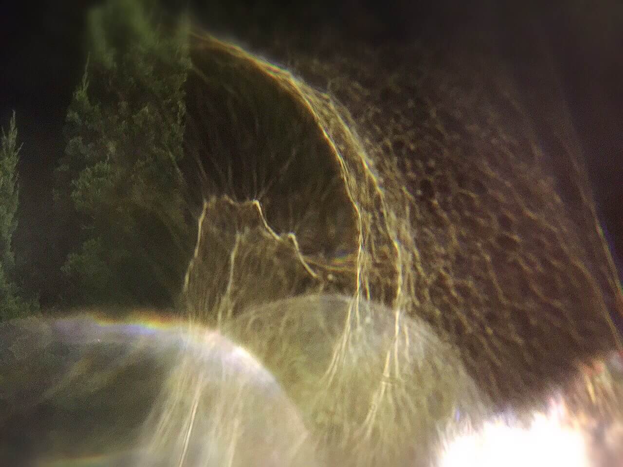 生存 生活 生根